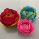 第24回「咲かせよう!自分だけのオリジナルフラワー」(7/13) 画像